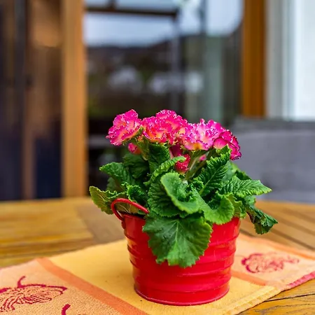 Сasa de vacaciones Burgblick Lauf