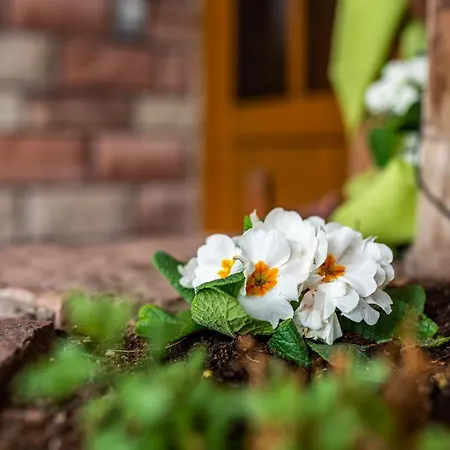 Сasa de vacaciones Burgblick *