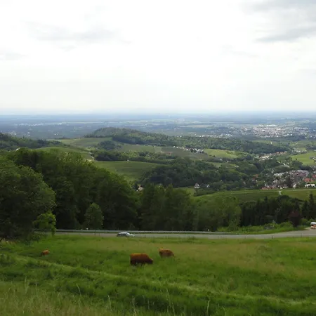 Burgblick