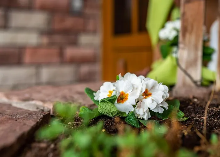 Casa de Férias Burgblick *